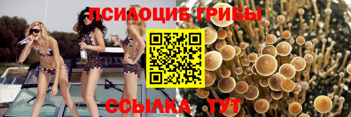 Псилоцибиновые грибы ЛСД Карачаевск