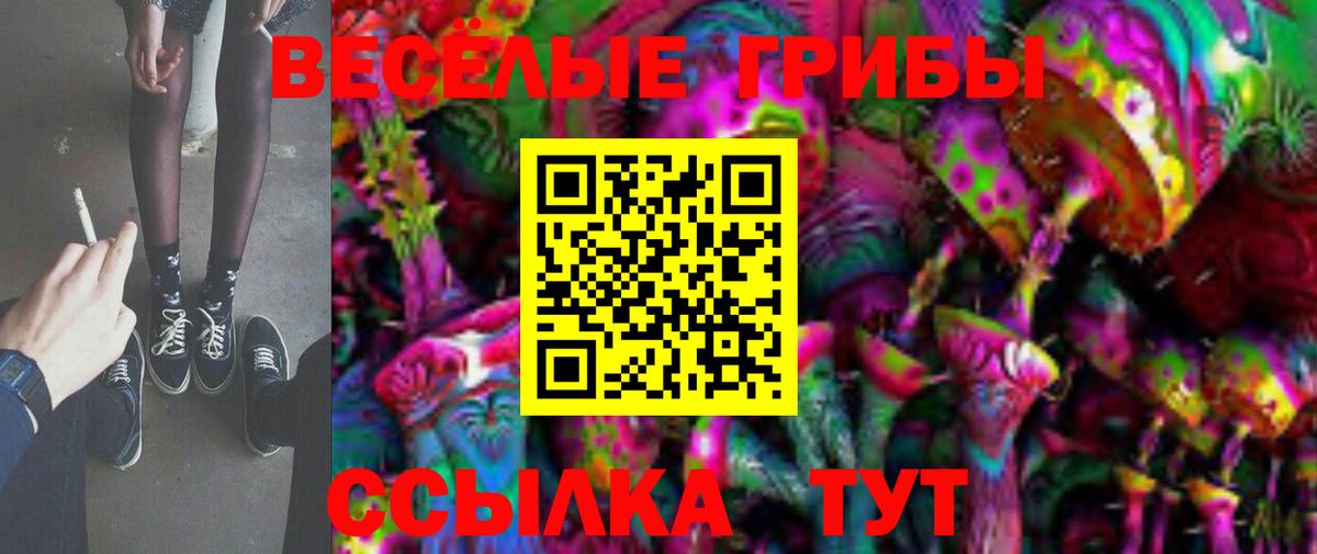 Карачаевск  Псилоцибиновые грибы ЛСД  Вход с VPN  Галлюциногенные грибы MAGIC MUSHROOMS 